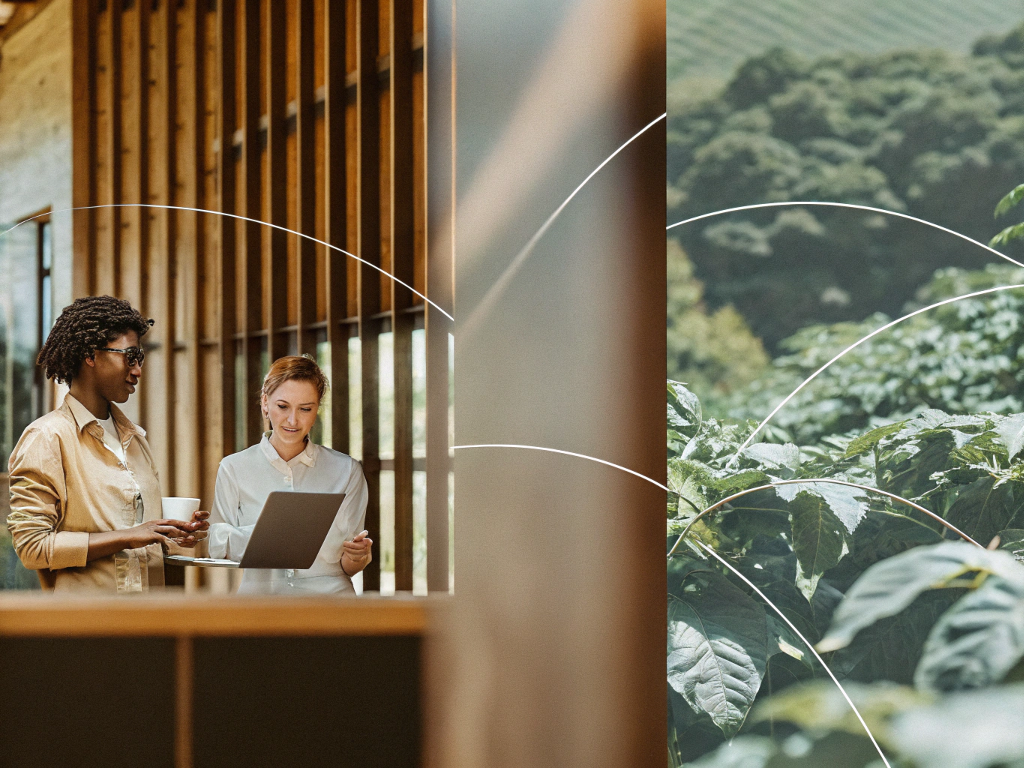 Diverse team collaborating on coffee sourcing with a view of a Brazilian coffee plantation