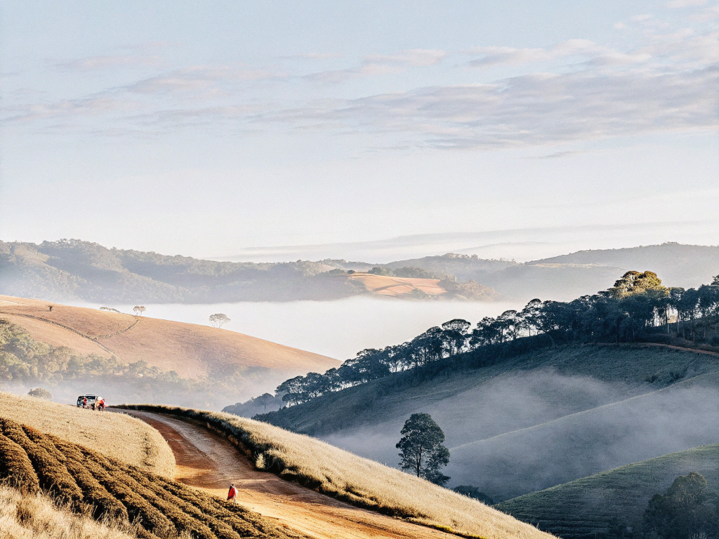 Panoramic view of misty rolling coffee hills in Central Mineira.