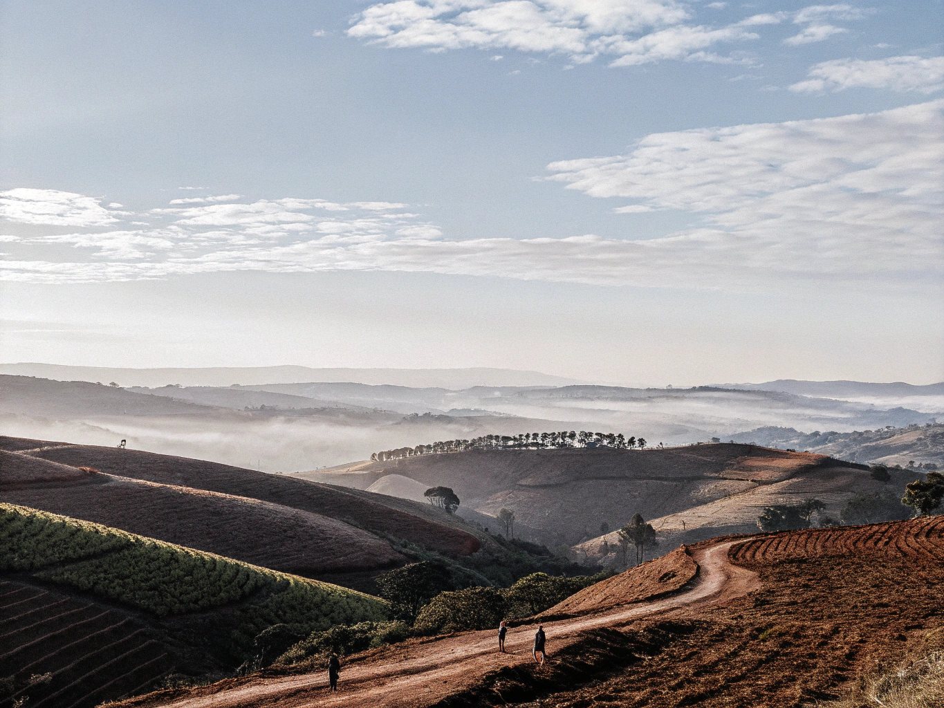 Sweeping landscape of coffee plantations and winding roads in Central Mineira.