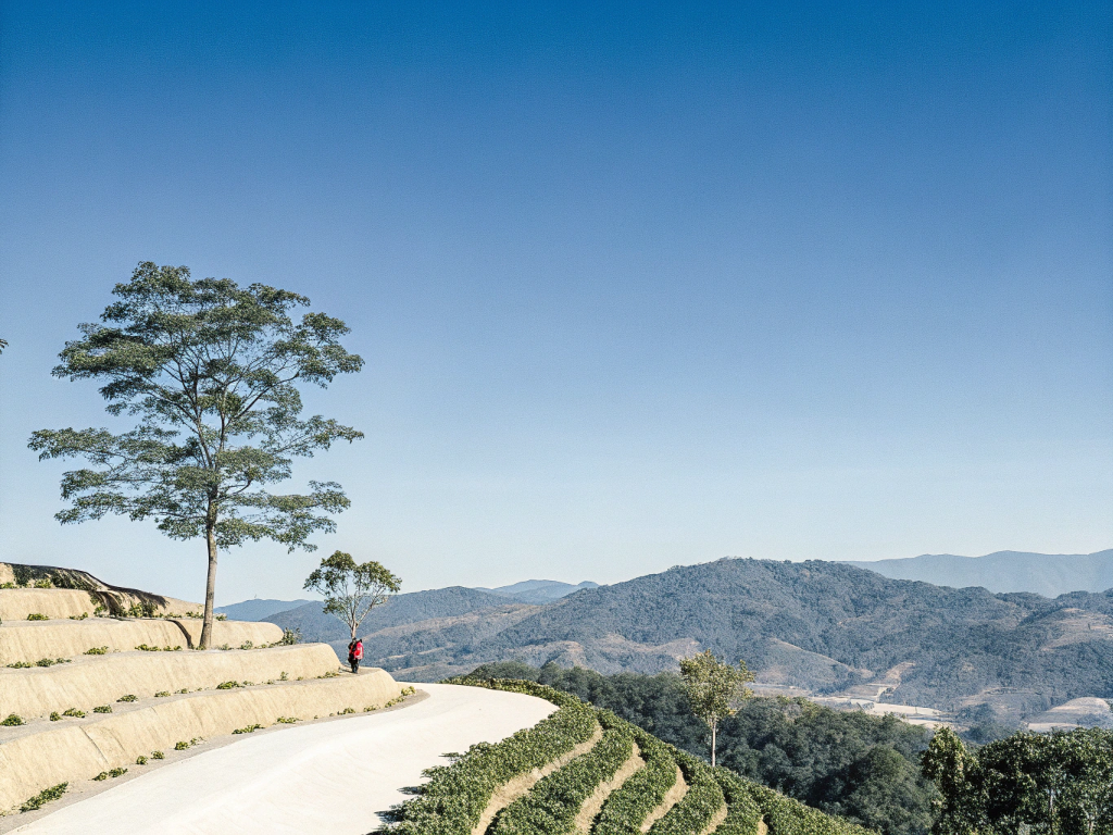 Winding road through terraced coffee farms in the mountains of Matas de Minas.