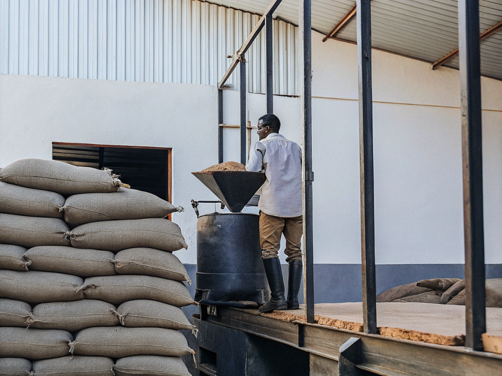 Worker processing coffee next to stacks of sacks in Vale do Mucuri.